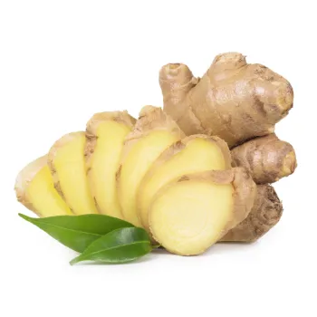 Ginger (7)-9702867-17372.webp